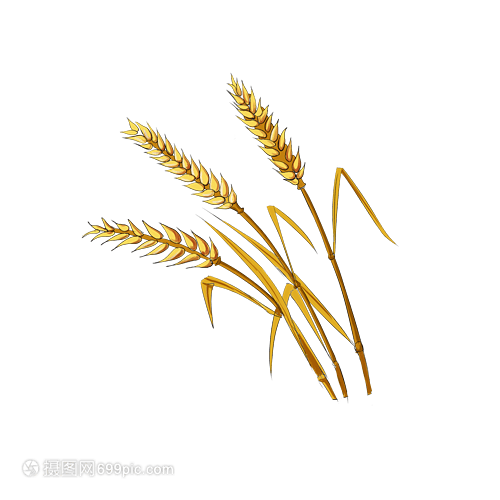 手繪卡通小滿與稻谷 傳統文化元素的生動呈現