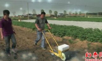 精量播種機(jī)械 防風(fēng)播種機(jī)與前胡播種機(jī)在稻谷種植中的應(yīng)用與市場(chǎng)分析