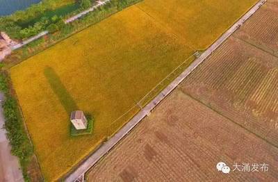 不用自己動(dòng)手，你也可以擁有自己的田塊和土雞！